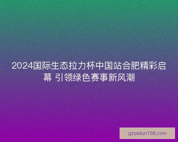 2024国际生态拉力杯中国站合肥精彩启幕 引领绿色赛事新风潮