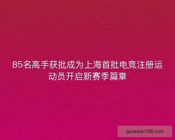 85名高手获批成为上海首批电竞注册运动员开启新赛季篇章