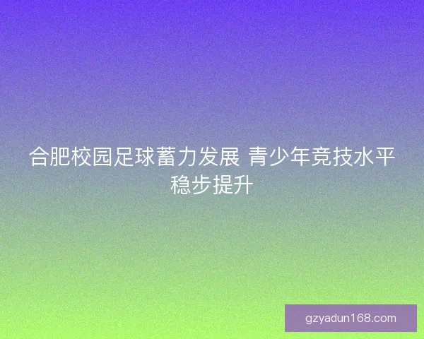 合肥校园足球蓄力发展 青少年竞技水平稳步提升