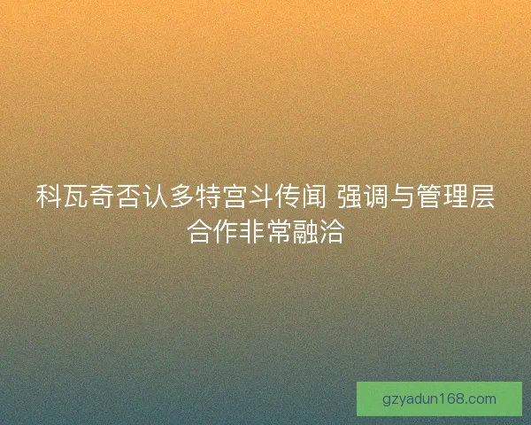 科瓦奇否认多特宫斗传闻 强调与管理层合作非常融洽