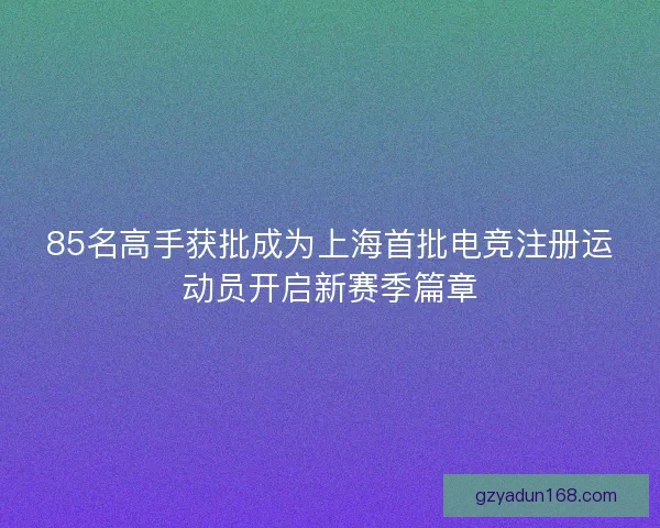 85名高手获批成为上海首批电竞注册运动员开启新赛季篇章