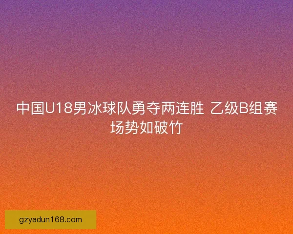 中国U18男冰球队勇夺两连胜 乙级B组赛场势如破竹