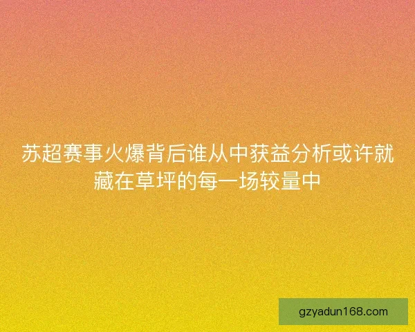 苏超赛事火爆背后谁从中获益分析或许就藏在草坪的每一场较量中