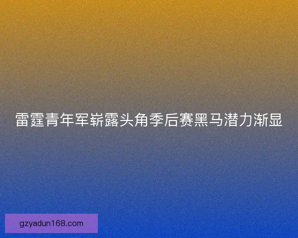雷霆青年军崭露头角季后赛黑马潜力渐显